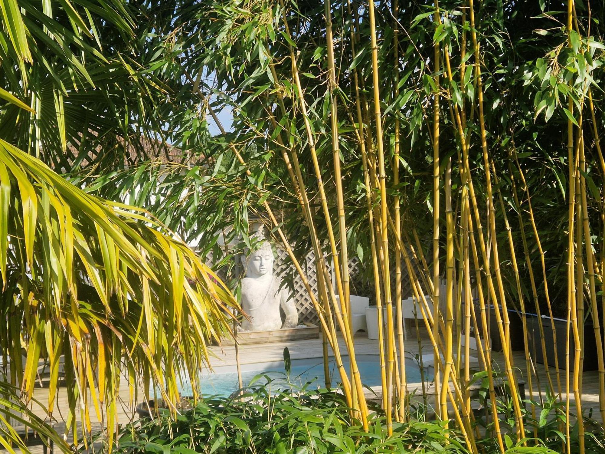 La Serenite Balinaise, Chambre Et Sdb Privee, Jardin , Piscine Et Jacuzzi En Saison, Pres De Chantilly, Parc Asterix Et Cdg Et Paris En 20' Orry-La-Ville Екстериор снимка