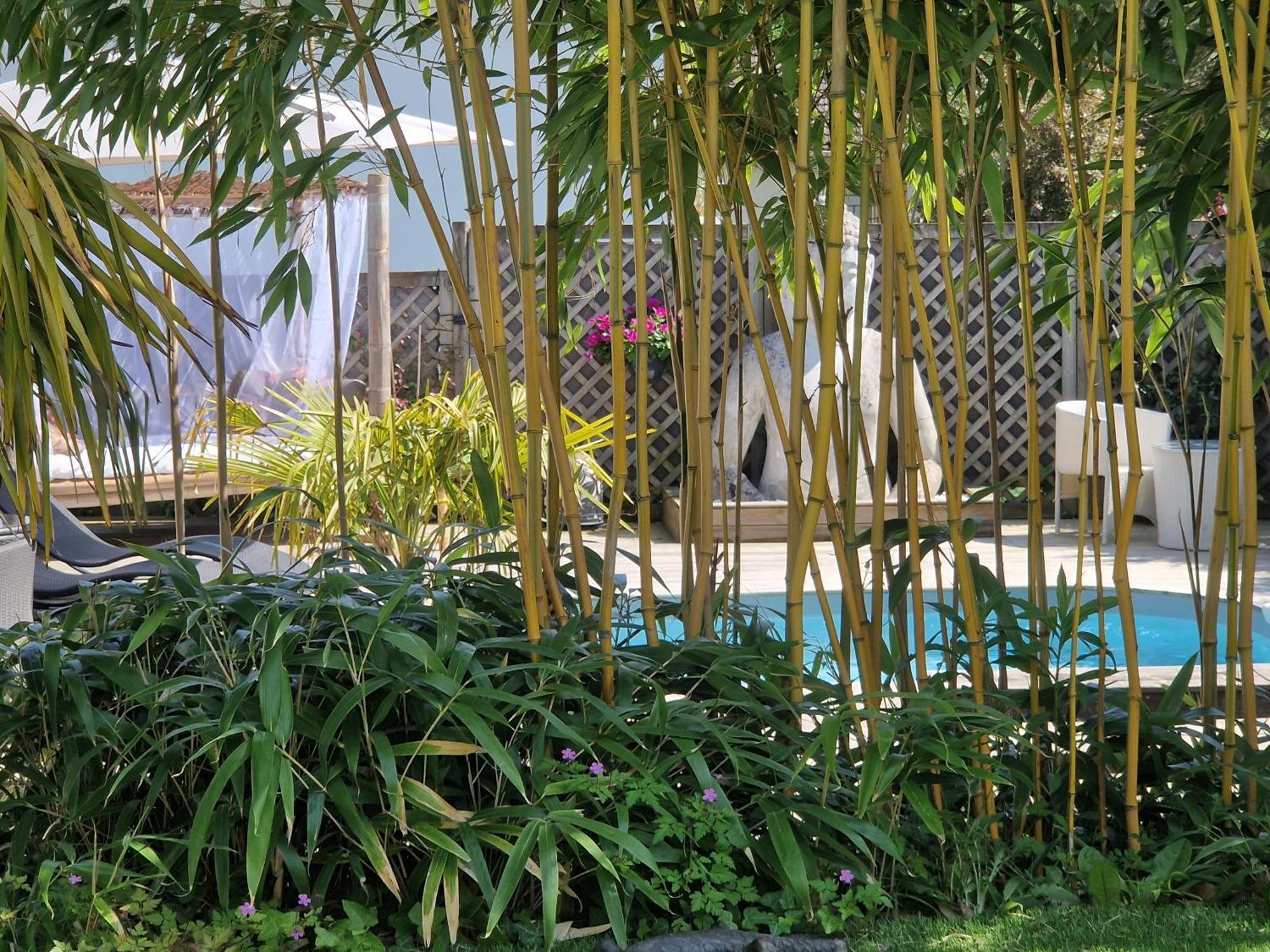 La Serenite Balinaise, Chambre Et Sdb Privee, Jardin , Piscine Et Jacuzzi En Saison, Pres De Chantilly, Parc Asterix Et Cdg Et Paris En 20' Orry-La-Ville Екстериор снимка